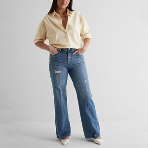 Express High Rise Wide Leg Jeans